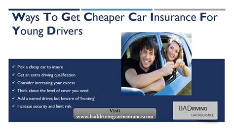 alfa car insurance quote for young drivers